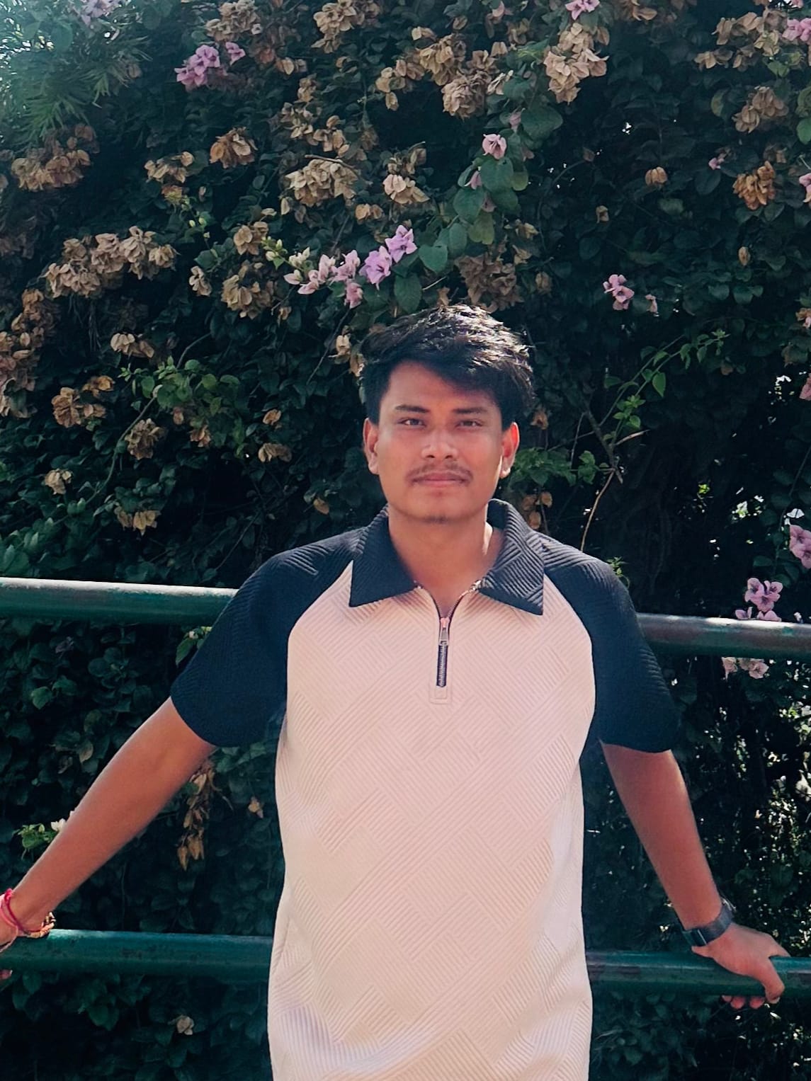 Frontend Developer Portrait